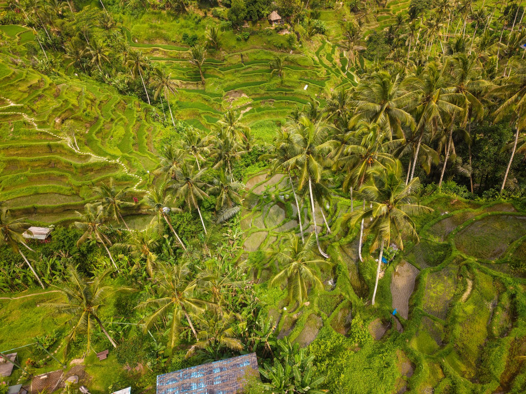 Bali for the First Time: What to Do, Where to Go, and What to Skip