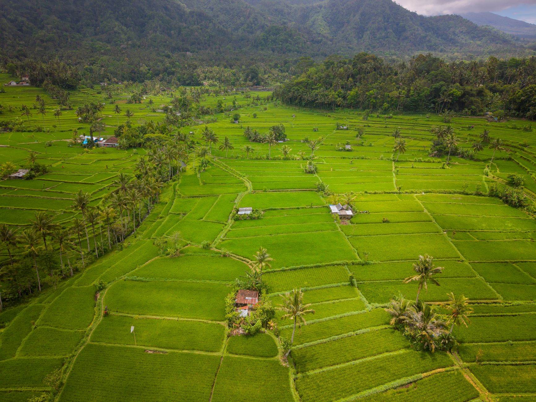 Exploring Southeast Asia: A First-Timer's Guide to the Region