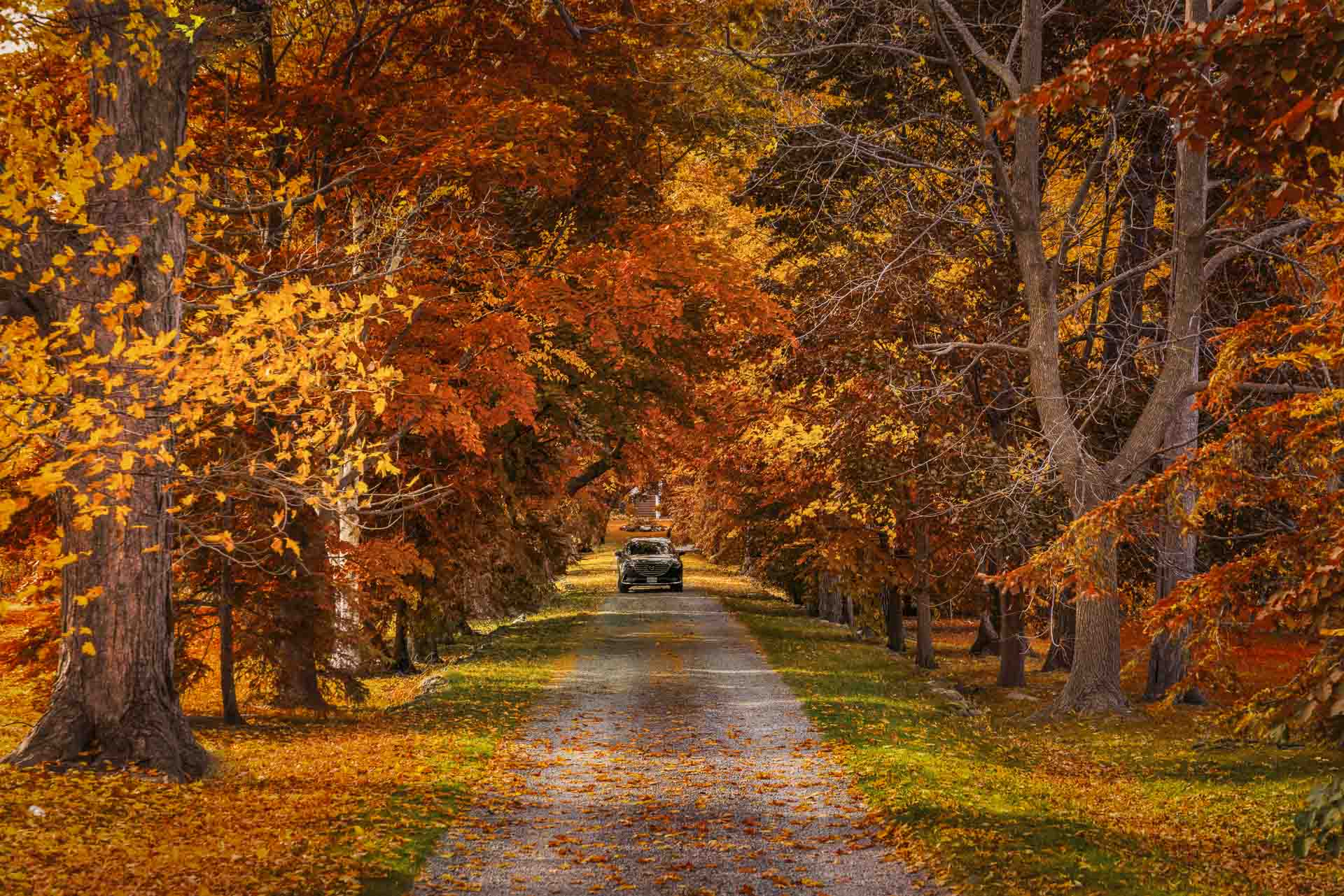 Toronto Day Trips Worth Planning Before You Leave the City